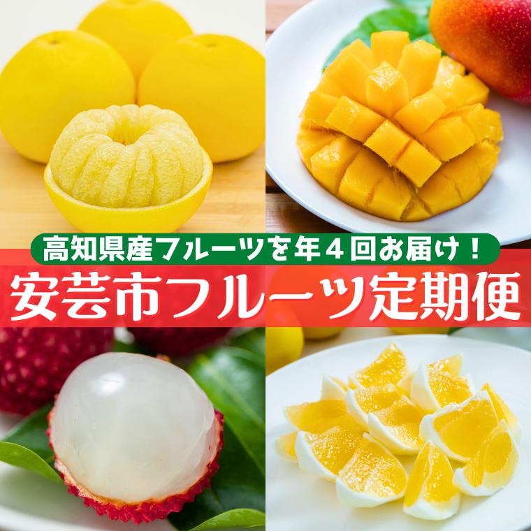 安芸市フルーツ定期便【5.5万円コース/年4回発送】 マンゴー ライチ 土佐文旦 小夏 フルーツ くだもの 果物 季節限定 期間限定 旬 限定 スイーツ デザート アレンジ 柑橘 数量限定 先行予約 先行受付 高知県安芸市