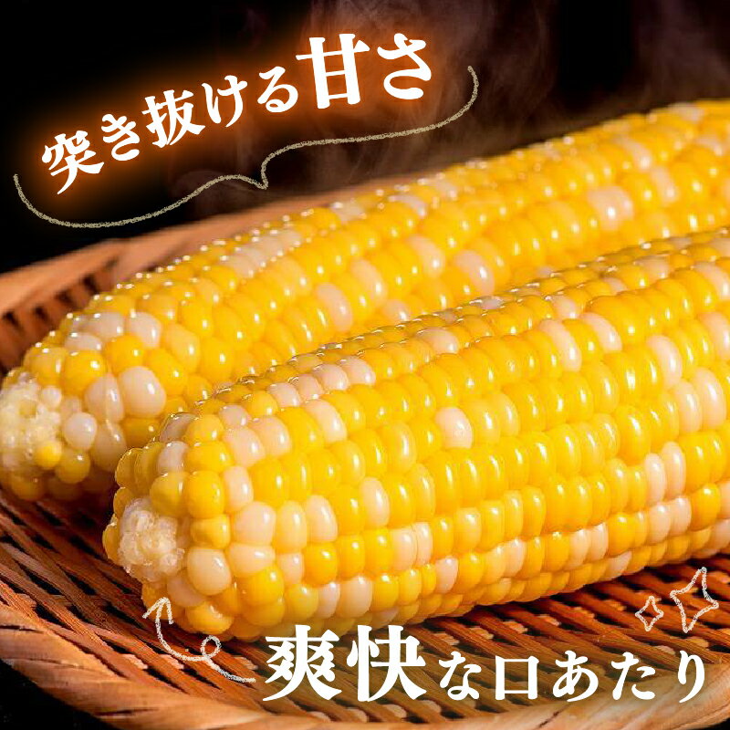 【ふるさと納税】 先行予約 とうもろこし スイートコーン バイカラー種 約 1.8kg 5本 2026年5月～6月発送予定 期間限定 数量限定 産地直送トウモロコシ フルーツコーン スイート コーン 国産 詰合せ 甘い 人気 ギフト 贈答 プレゼント 高知県 南国市 農園けんぴ - 画像2