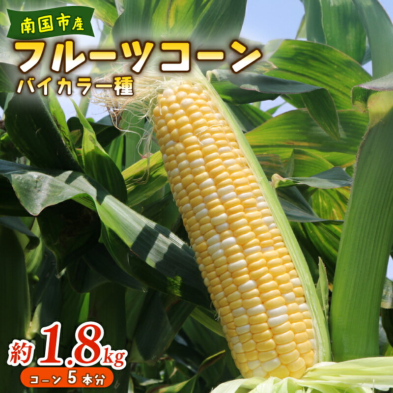 先行予約 とうもろこし スイートコーン バイカラー種 約 1.8kg 5本 2026年5月～6月発送予定 期間限定 数量限定 産地直送トウモロコシ フルーツコーン スイート コーン 国産 詰合せ 甘い 人気 ギフト 贈答 プレゼント 高知県 南国市 農園けんぴ