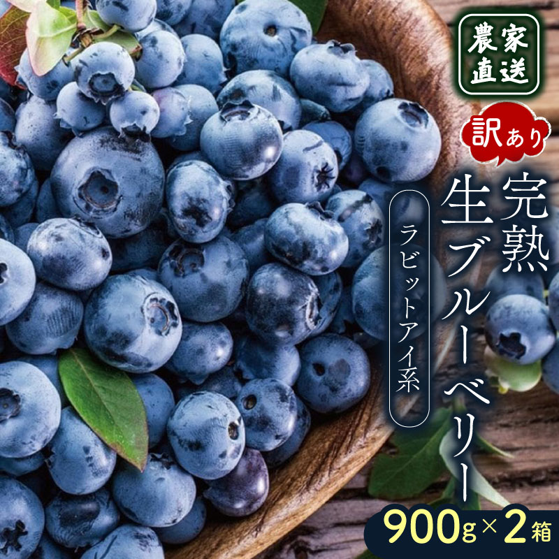 訳あり 農家直送 完熟生ブルーベリー ラビットアイ系 1800g 2026年発送 土佐ひらやま農園 ブルーベリー フルーツ 果物 くだもの 食品 人気 美容 おすすめ 期間限定 数量限定 高知県 南国市