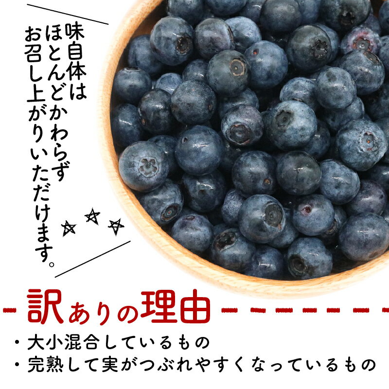 【ふるさと納税】 訳あり 農家直送 完熟生ブルーベリー ラビットアイ系 1800g 2026年発送 土佐ひらやま農園 ブルーベリー フルーツ 果物 くだもの 食品 人気 美容 おすすめ 期間限定 数量限定 高知県 南国市 サムネイル3