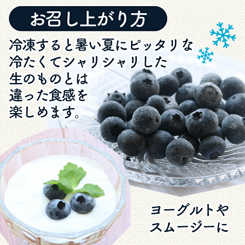 【ふるさと納税】 農家直送 完熟生ブルーベリー サザンハイブッシュ系 ラビットアイ系 600g 2回 定期便 2026年発送 早期予約 土佐ひらやま農園 ブルーベリー フルーツ 果物 くだもの 食品 人気 美容 おすすめ 期間限定 数量限定 高知県 南国市 サムネイル3