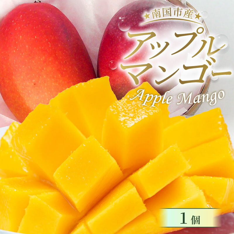 先行予約 高知県南国市産 完熟アップルマンゴー1個 2026年6月-発送 マンゴー アップルマンゴー フルーツ 果物 くだもの 食品 高評価 厳選 高級 ギフト 贈り物 人気 おすすめ ふるさと納税まんごー ふるさと納税 マンゴー 送料無料
