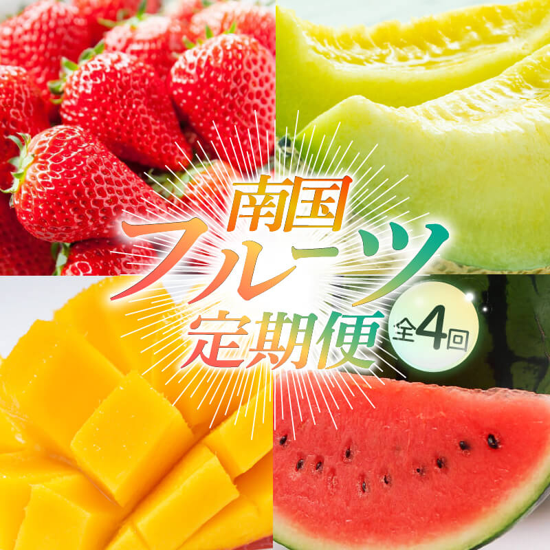 年4回お届け 季節のフルーツセット フルーツ 定期便 いちご スイカ マンゴー メロン フルーツ 苺 旬 果物 くだもの 贈答 ギフト 人気 おすすめ ふるさと納税メロン 定期便 ふるさと納税スイカ ふるさと納税マンゴー ふるさと納税いちご 高知県 南国市