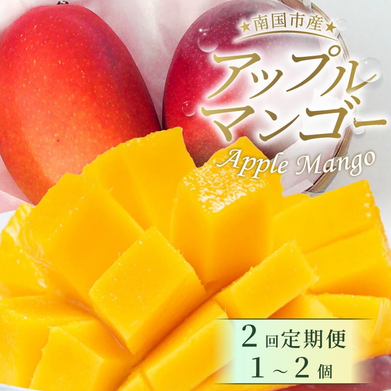 完熟 アップルマンゴー 1-2個 500g 2回 定期便 数量限定 アップル マンゴー フルーツ 果物 くだもの 産地直送マンゴー 先行予約マンゴー 厳選 人気 おすすめ ふるさと納税まんごー ふるさと納税 マンゴー 高知県 南国市