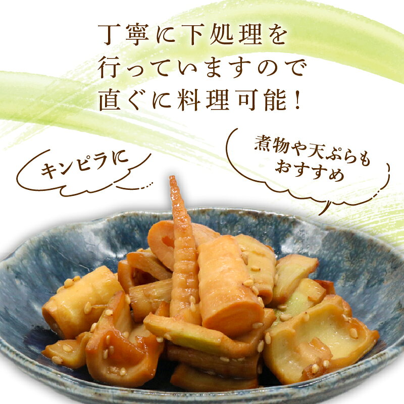 【ふるさと納税】 筍 タケノコ 竹の子 野菜 四方竹 水煮 100g×3パック シャキシャキ 食感 珍味 季節 特産 珍しい 柔らか 煮物 おでん サラダ 和え物 天ぷら キンピラ お寿司 高知県 南国市 - 画像2