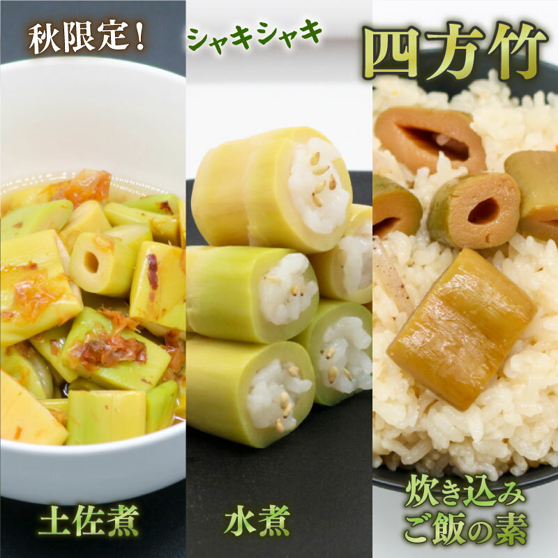筍 タケノコ 竹の子 野菜 四方竹 食べ比べセット 各2パック 土佐煮 水煮 炊き込みご飯の素 シャキシャキ 食感 珍味 季節 特産 珍しい 柔らか 煮物 おでん サラダ 和え物 天ぷら キンピラ お寿司 高知県 南国市