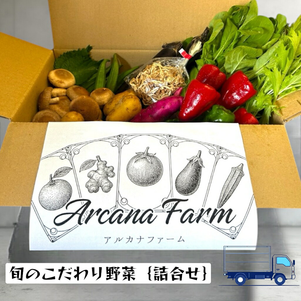 野菜 セット 8～11品目 新鮮 野菜セット こだわり野菜 人気 旬 季節の野菜 おすすめ 高知県 南国市