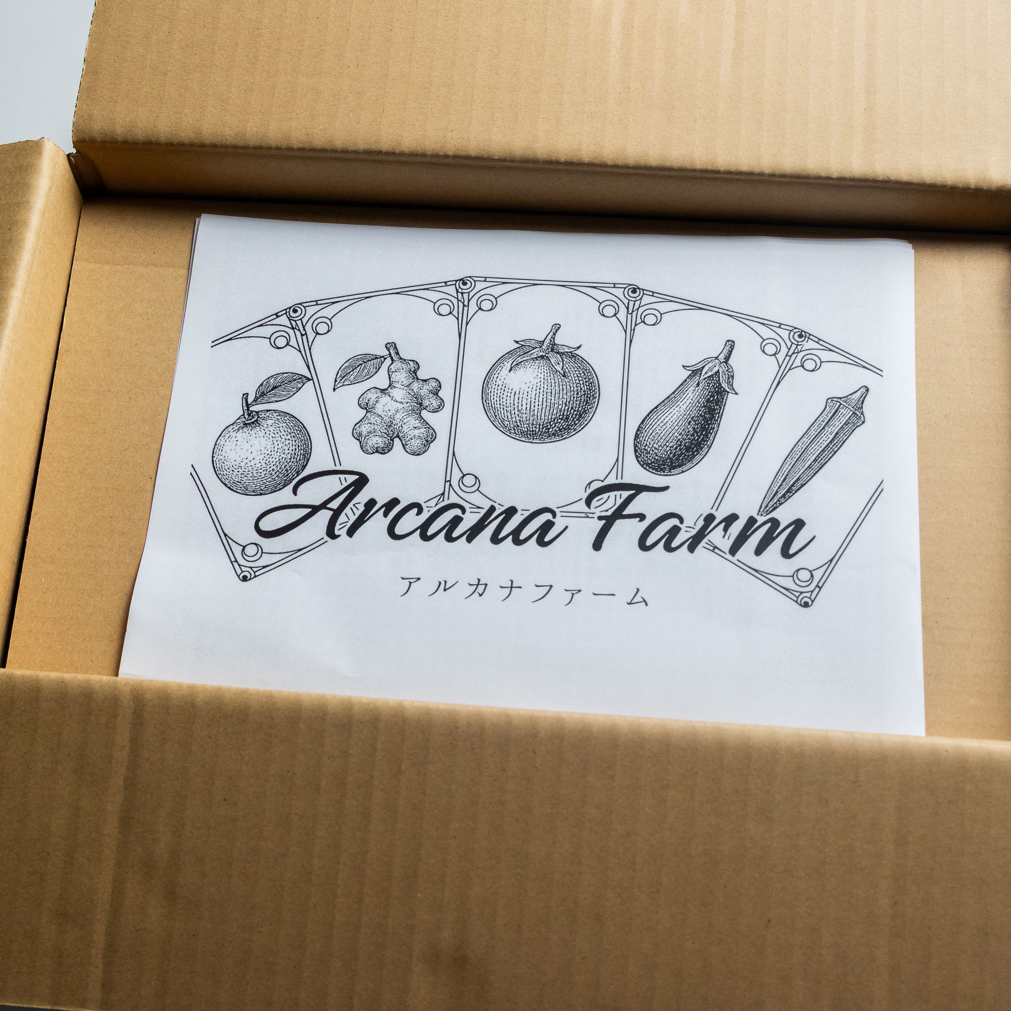 【ふるさと納税】 野菜 セット 8～11品目 新鮮 野菜セット こだわり野菜 人気 旬 季節の野菜 おすすめ 高知県 南国市 - 画像2