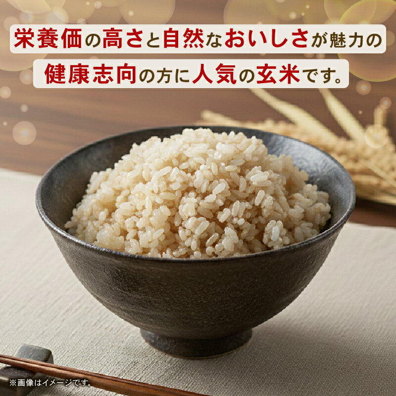 【ふるさと納税】 令和7年度 南国市産 コシヒカリ 玄米 5kg 期間限定 数量限定 米 コメ お米 ご飯 おにぎり こめ 弁当 高知県 南国市 - 画像2