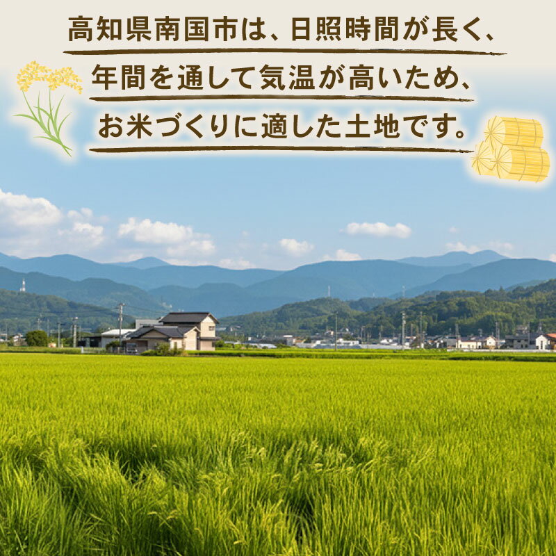【ふるさと納税】 令和7年度 南国市産 コシヒカリ 玄米 5kg 期間限定 数量限定 米 コメ お米 ご飯 おにぎり こめ 弁当 高知県 南国市 - 画像3