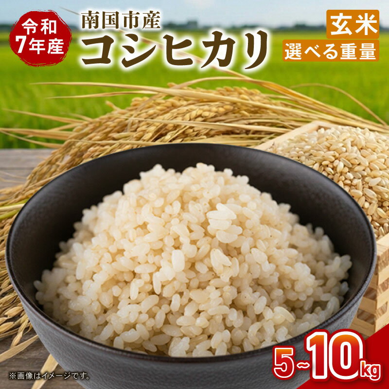 令和7年度 南国市産 コシヒカリ 玄米 5kg 期間限定 数量限定 米 コメ お米 ご飯 おにぎり こめ 弁当 高知県 南国市