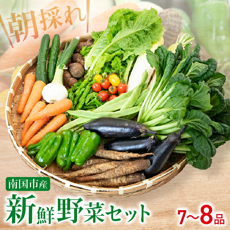 野菜 セット 7～8品 朝採れ 新鮮 野菜セット 産地直送 人気 旬 季節の野菜 数量限定 おすすめ 高知県 南国市