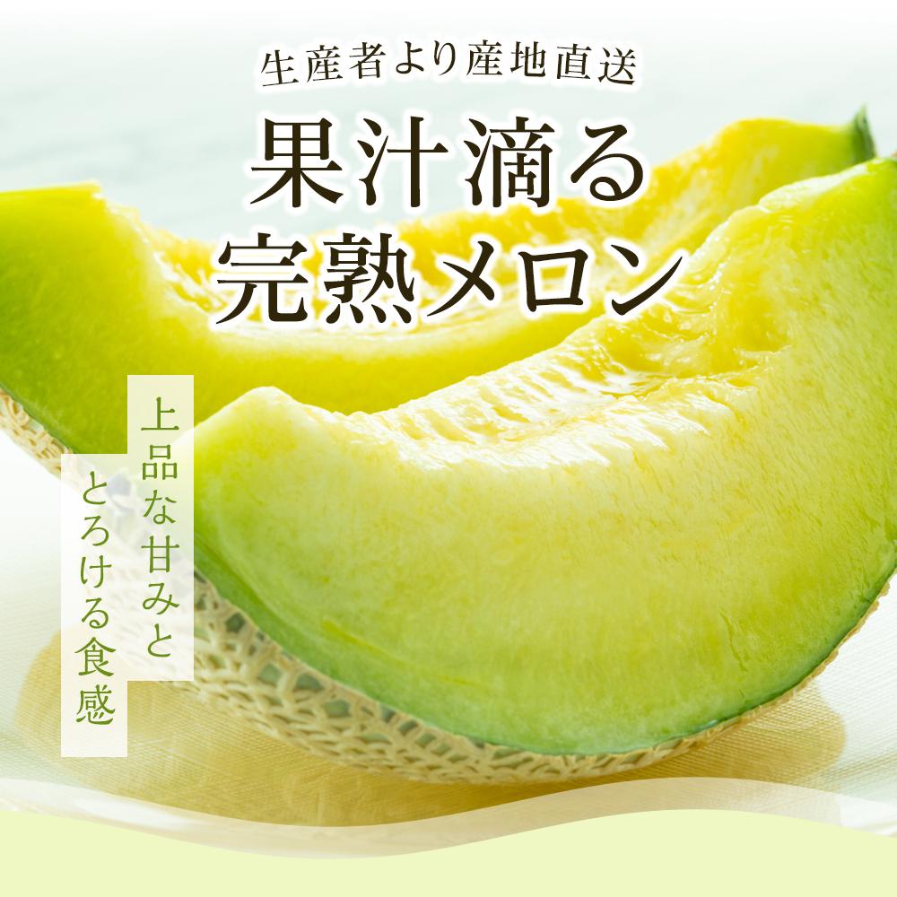 【ふるさと納税】 先行予約 高知県南国市産 メロン マンゴーセット 2026年6月-発送 メロン マンゴー フルーツ 旬 果物 くだもの 詰め合わせ セット 高評価 厳選 贈答 ギフト 人気 おすすめ ふるさと納税メロン ふるさと納税 めろん ふるさと納税 まんごー 高知県 南国市 サムネイル3