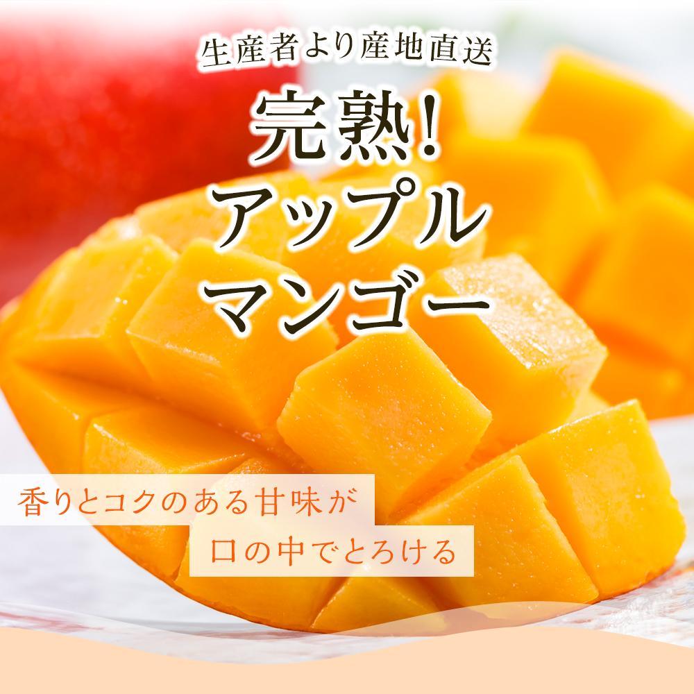 【ふるさと納税】 先行予約 高知県南国市産 完熟アップルマンゴー1個 2026年6月-発送 マンゴー アップルマンゴー フルーツ 果物 くだもの 食品 高評価 厳選 高級 ギフト 贈り物 人気 おすすめ ふるさと納税まんごー ふるさと納税 マンゴー 送料無料 サムネイル3