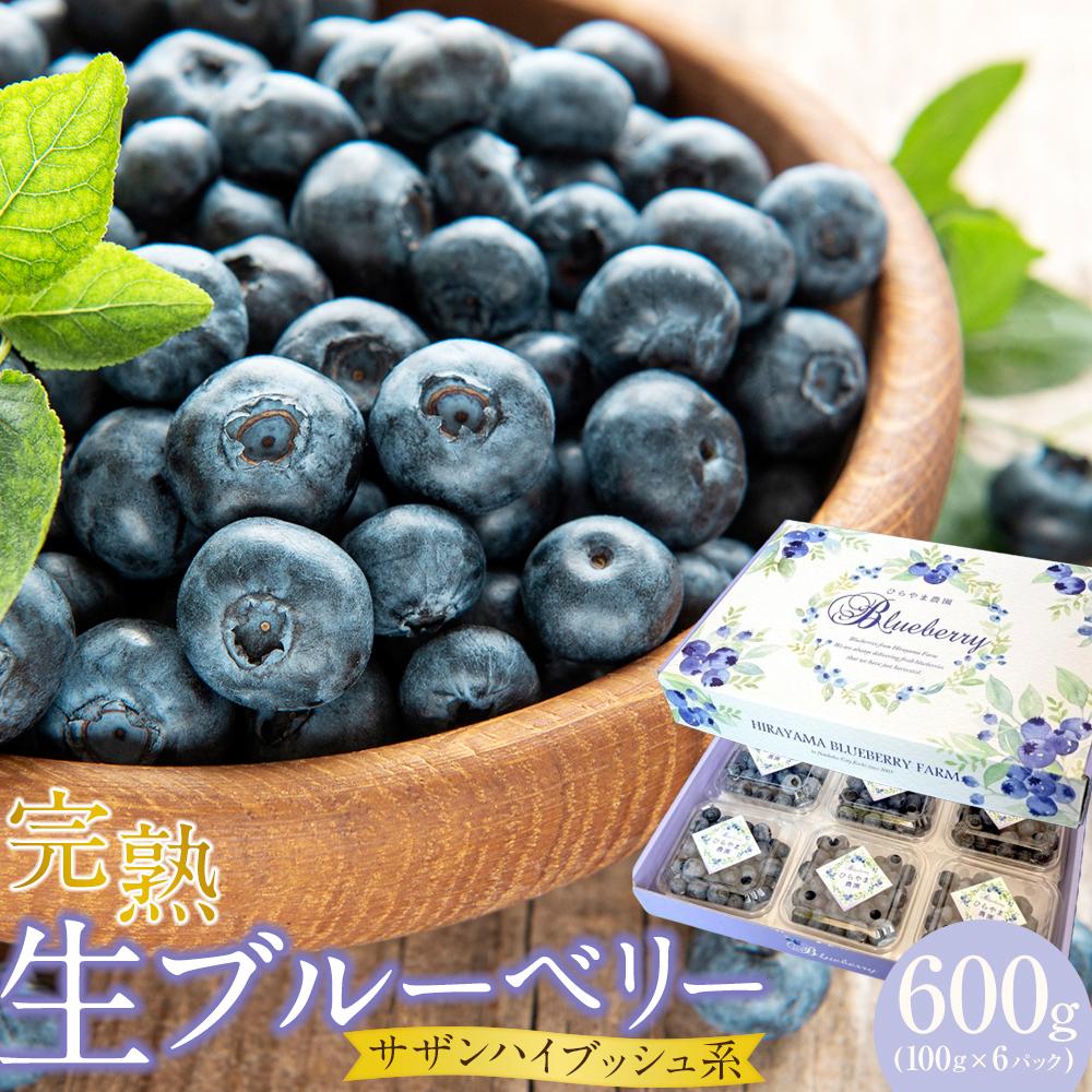農家直送 完熟生ブルーベリー サザンハイブッシュ系 600g 100g×6パック 2026年発送 早期予約 土佐ひらやま農園 ブルーベリー フルーツ 果物 くだもの 食品 人気 おすすめ 送料無料