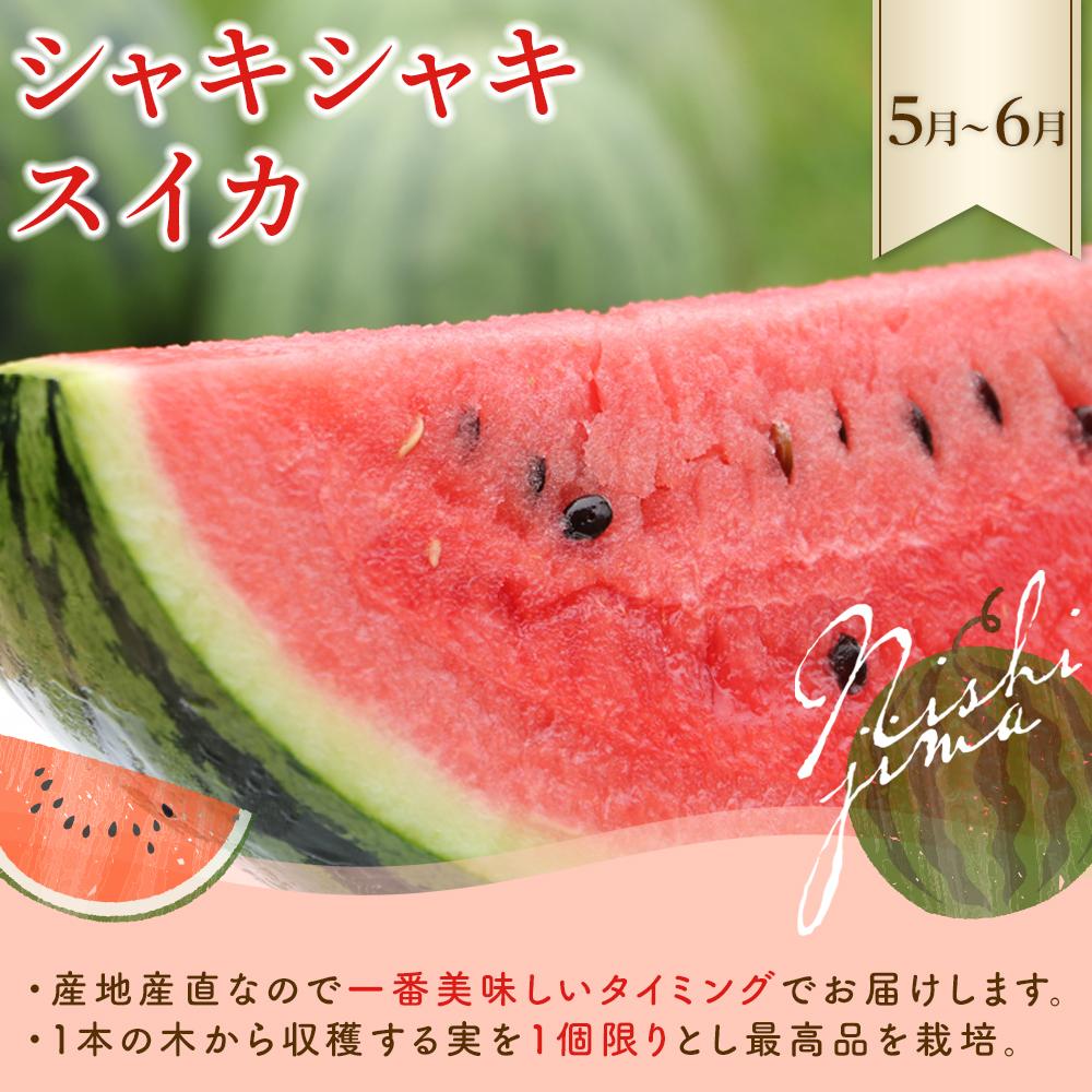 【ふるさと納税】 年4回お届け 季節のフルーツセット フルーツ 定期便 いちご スイカ マンゴー メロン フルーツ 苺 旬 果物 くだもの 贈答 ギフト 人気 おすすめ ふるさと納税メロン 定期便 ふるさと納税スイカ ふるさと納税マンゴー ふるさと納税いちご 高知県 南国市 サムネイル3