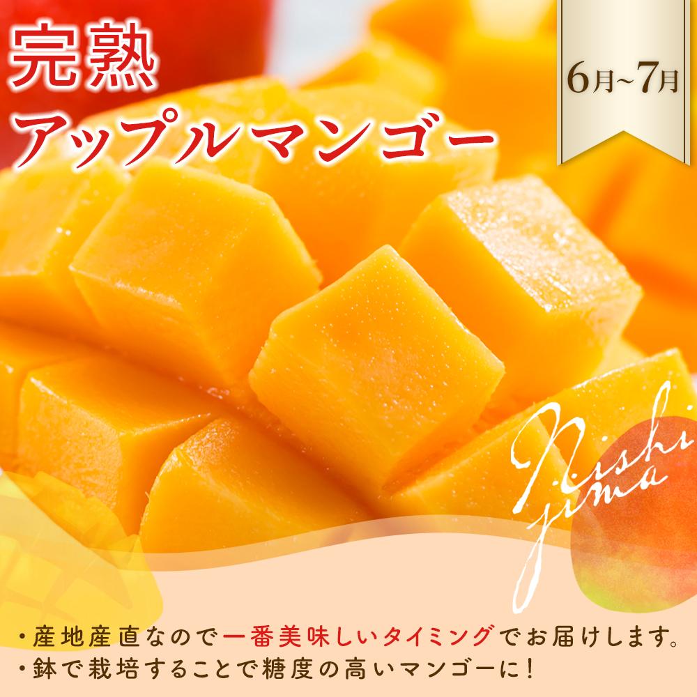 【ふるさと納税】 4回 定期便 旬 フルーツセット ふるさと納税 フルーツ 定期便 いちご スイカ マンゴー メロン フルーツ 苺 旬 果物 くだもの 贈答 ギフト 人気 おすすめ ふるさと納税メロン ふるさと納税スイカ ふるさと納税マンゴー ふるさと納税いちご 高知県 南国市 - 画像3