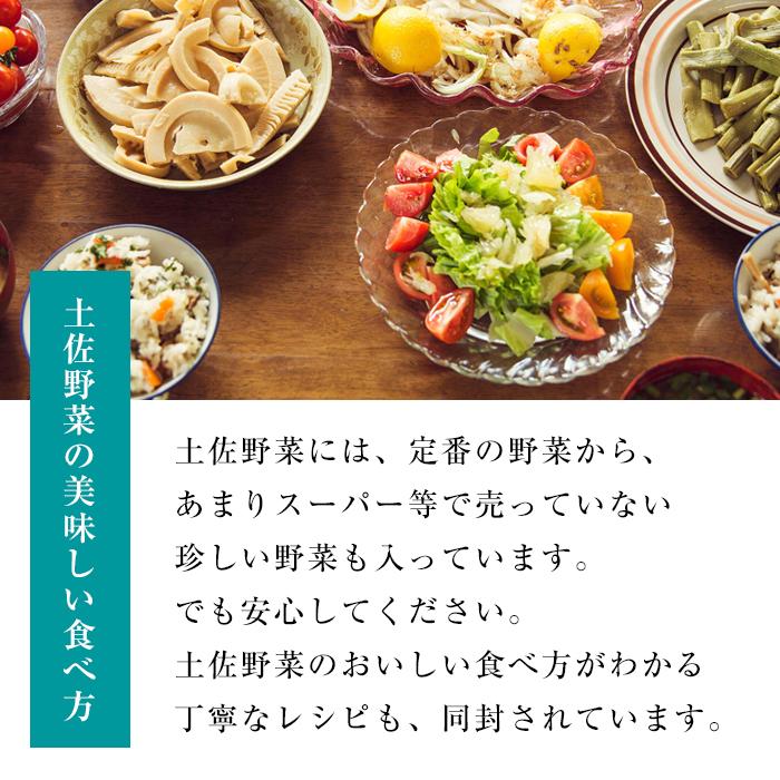 【ふるさと納税】 定期便 全4回 土佐野菜 旬の野菜の詰め合わせ 小セット セット 新鮮 野菜 毎月 送料無料 人気 おすすめ 高知県 南国市 - 画像2