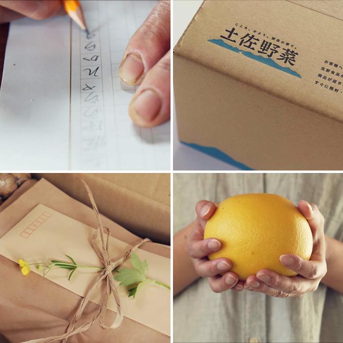 【ふるさと納税】 定期便 全4回 土佐野菜 旬の野菜の詰め合わせ 小セット セット 新鮮 野菜 毎月 送料無料 人気 おすすめ 高知県 南国市 - 画像3