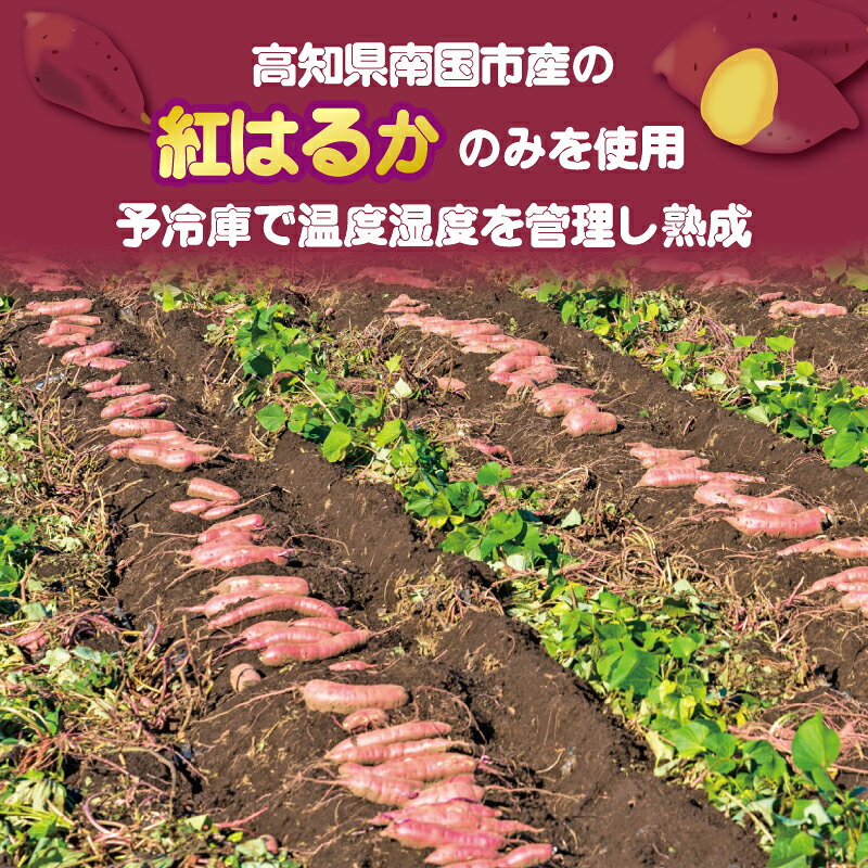 【ふるさと納税】 高知名物 いも天 いもスティック 冷凍焼き芋 セット いも 芋 おやつ お菓子 食物繊維 サツマイモ 天ぷら 紅はるか おいも お芋 冷凍 高知県 南国市 - 画像2