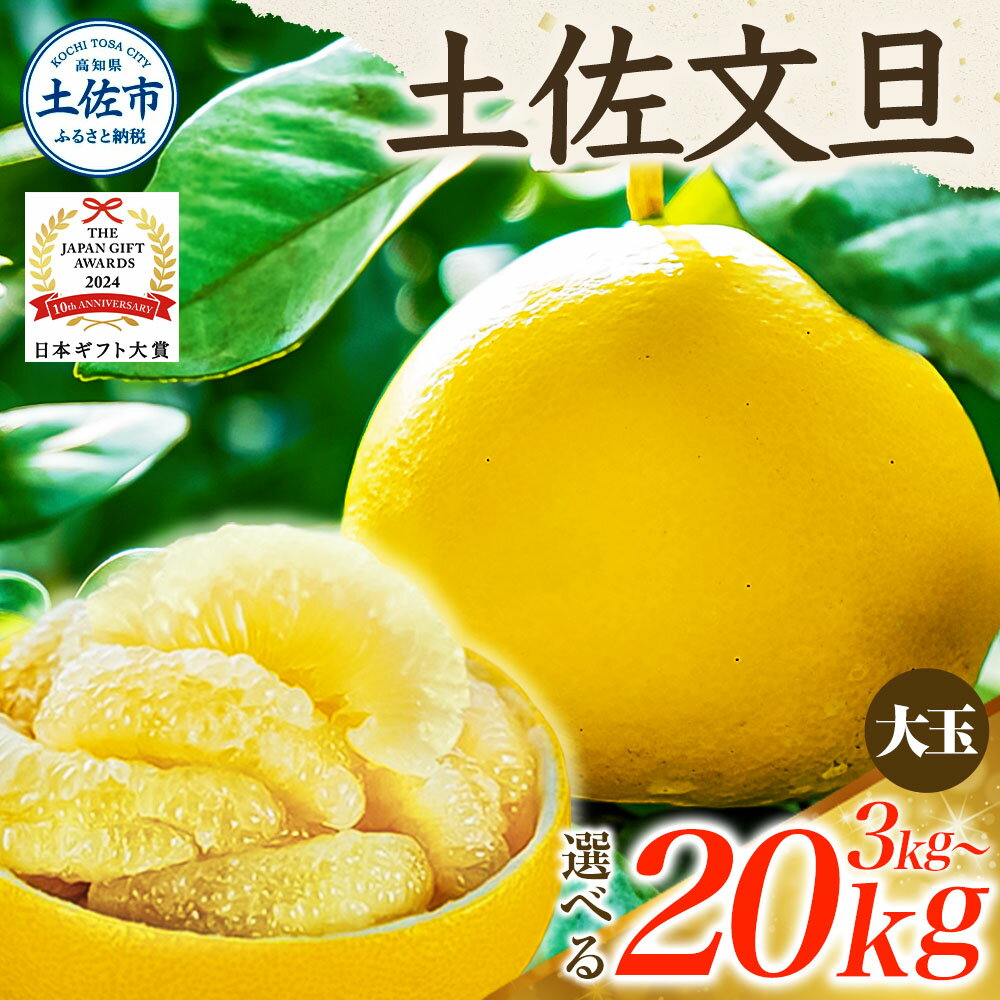 【先行予約】【2026年1月末～発送】文旦 7000円～ 土佐文旦 大玉 3kg 5kg 7kg 10kg 20kg（3L～2L）みかん 柑橘 ぶんたん ブンタン 日本ギフト大賞2024受賞 果物 フルーツ お取り寄せ おいしい 家庭用 贈答用 常温 土佐市 春 旬 返礼品 高知