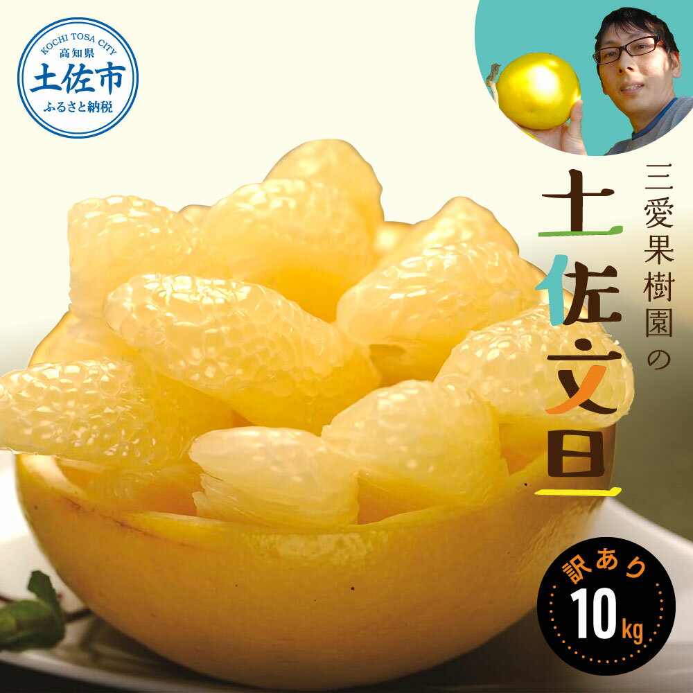 【先行予約】訳あり 三愛果樹園の土佐文旦 10kg ワケあり 訳アリ ぶんたん ブンタン 果物 柑橘 フルーツ 故郷納税 ふるさと納税 春 旬 ふるさとのうぜい 返礼品 高知県 高知 16000円
