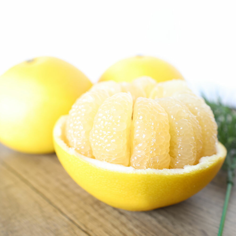 【ふるさと納税】温室土佐文旦 3kg 7玉入り Lサイズ ぶんたん ブンタン 3キロ 小玉 フルーツ 柑橘 みかん 果物 くだもの 柑橘類 文旦 デザート お取り寄せ おいしい 土佐文旦の藤岡 食品 国産 常温 配送 故郷納税 ふるさとのうぜい 返礼品 高知県 土佐市 15000円 サムネイル2