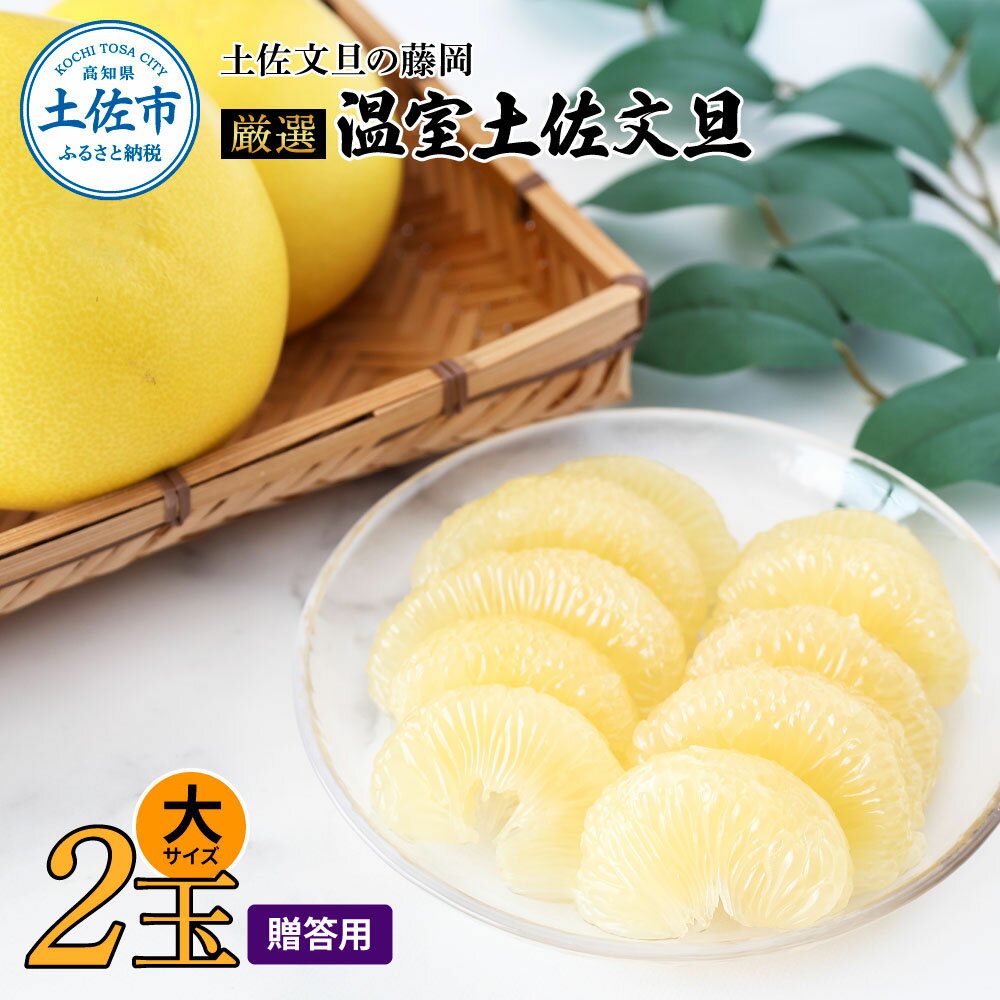 厳選 温室土佐文旦 贈答用木箱入り 大玉 2玉 約600g×2個 ぶんたん ブンタン フルーツ 柑橘 みかん 果物 くだもの 土佐文旦の藤岡 旬 プレゼント ギフト 贈答 贈り物 お歳暮 お取り寄せ 常温 配送 高知県 土佐市 ふるさとのうぜい 故郷納税 返礼品