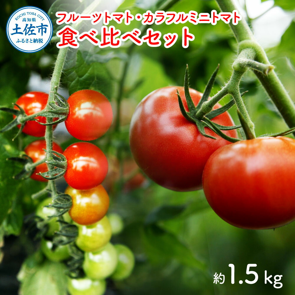 フルーツトマト食べくらべセット 1.5kg トマト フルーツトマト 糖度 ミニトマト 詰め合わせ ふるーつとまと フルーツミニトマト カラフル トマト とまと 美味しい 高知県産 高知 高知県 土佐市 こうち 返礼品
