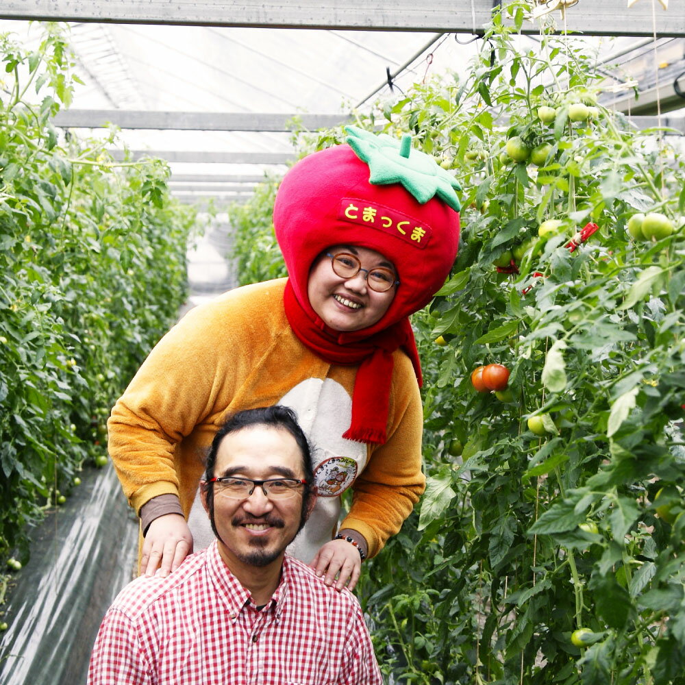 【ふるさと納税】フルーツトマト（約800グラム） 12〜20玉入り 糖度 8度以上 フルーツトマト ふるーつとまと とまと トマト 甘い 濃厚 美味しい 箱入り 野菜 料理 サラダ お取り寄せグルメ 高知県産 高知 高知県 土佐市 こうち 返礼品 - 画像3