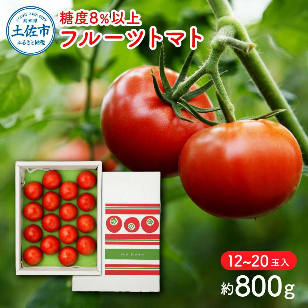 フルーツトマト（約800グラム） 12〜20玉入り 糖度 8度以上 フルーツトマト ふるーつとまと とまと トマト 甘い 濃厚 美味しい 箱入り 野菜 料理 サラダ お取り寄せグルメ 高知県産 高知 高知県 土佐市 こうち 返礼品