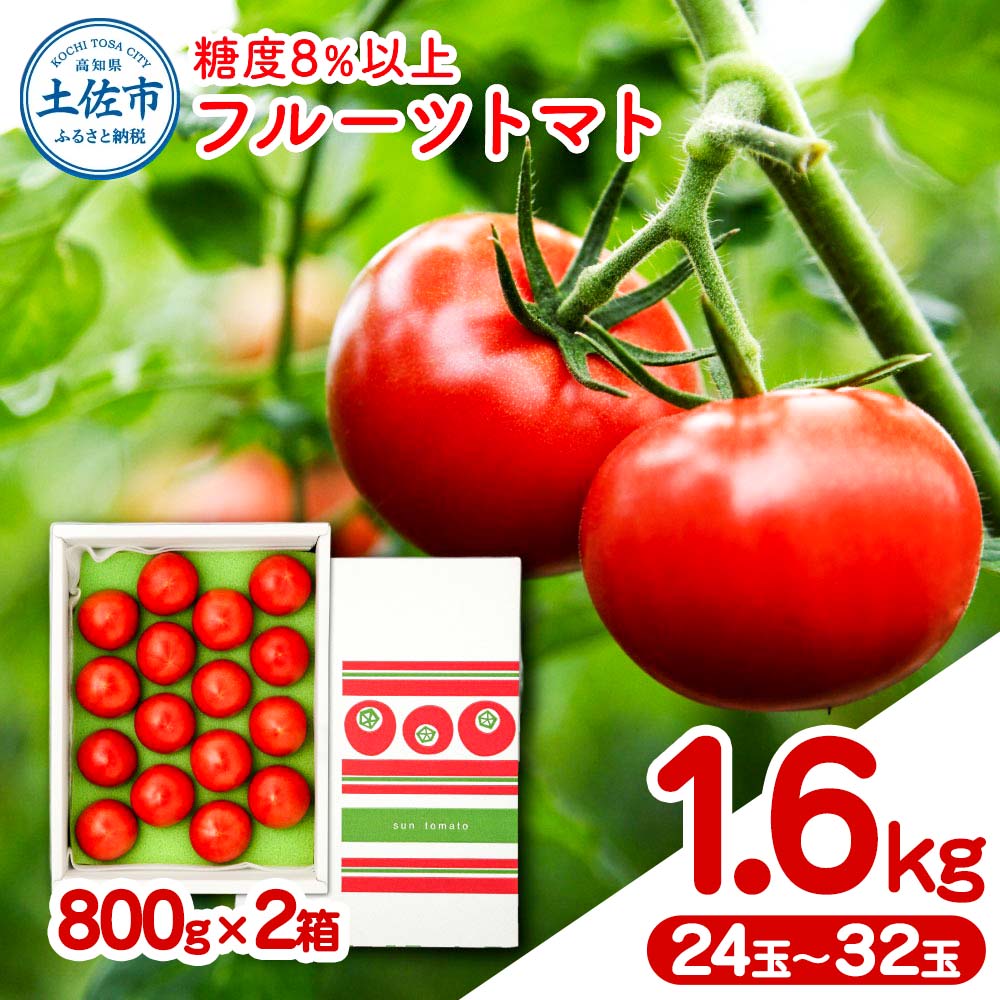 フルーツトマト 約1.6kg(約800g×2) 24~32玉入り 糖度 8度以上 フルーツトマト ふるーつとまと とまと トマト 甘い 濃厚 美味しい 箱入り 野菜 料理 サラダ お取り寄せグルメ 高知県産 高知 高知県 土佐市 こうち 返礼品