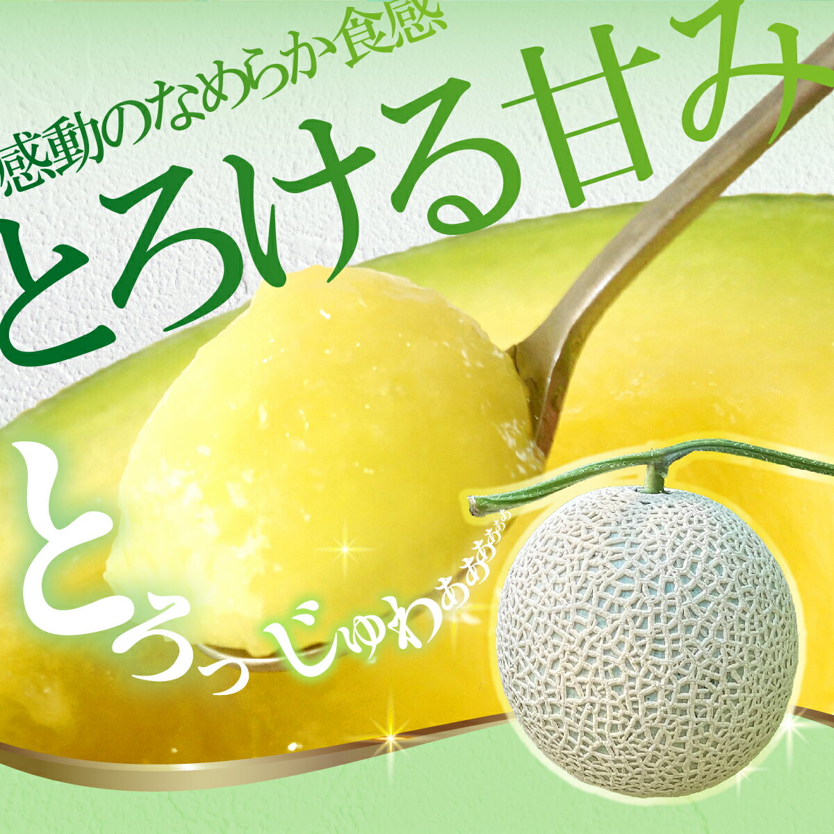 【ふるさと納税】先行予約 メロン 1玉入（約1.4kg～1.8kg）青肉 2026年春発送 期間限定 メロン めろん マスクメロン 舐瓜 果物 くだもの フルーツ デザート 旬 ハウス栽培 常温配送 故郷納税 ふるさとのうぜい 高知県産 国産 土佐市 返礼品 サムネイル2