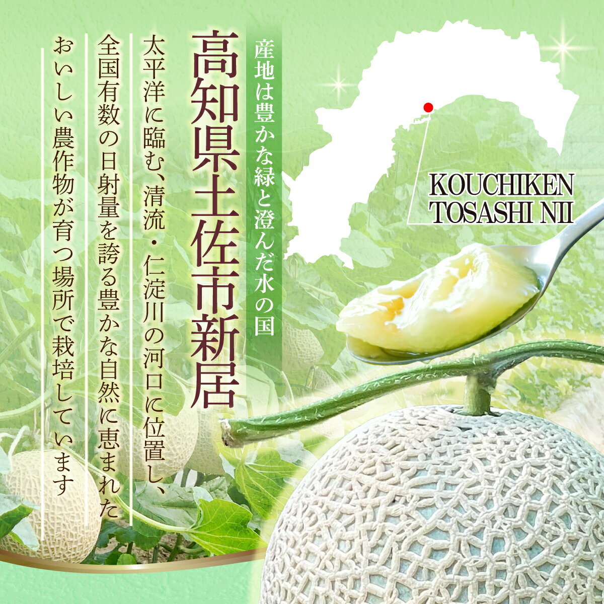 【ふるさと納税】先行予約 メロン 1玉入（約1.4kg～1.8kg）青肉 2026年春発送 期間限定 メロン めろん マスクメロン 舐瓜 果物 くだもの フルーツ デザート 旬 ハウス栽培 常温配送 故郷納税 ふるさとのうぜい 高知県産 国産 土佐市 返礼品 サムネイル3