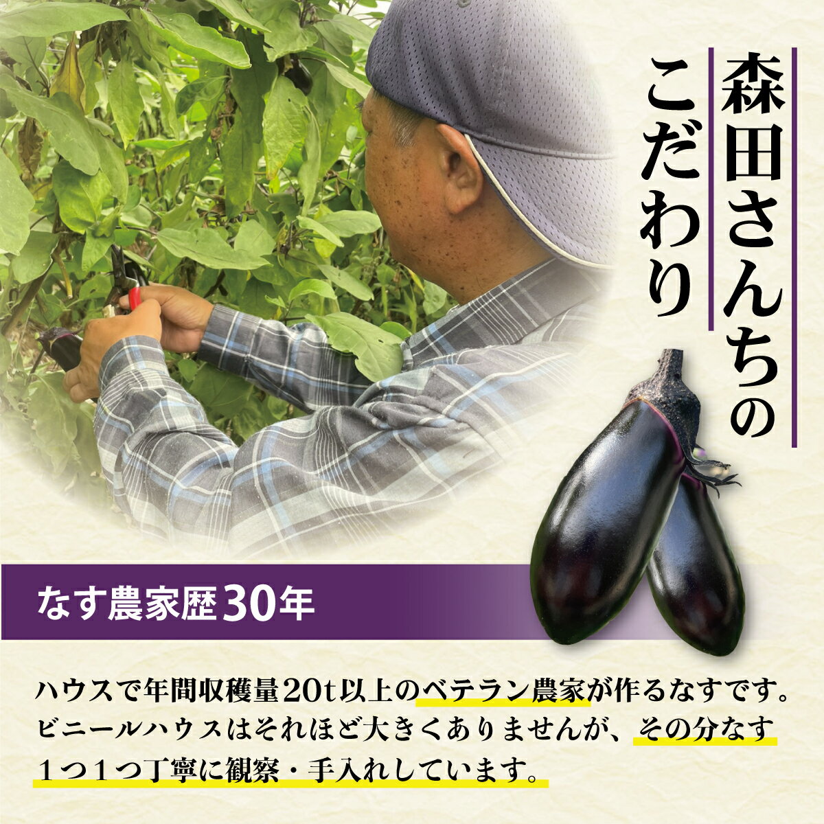【ふるさと納税】森田さんちの土佐市産お竜なす 訳あり 約1.5kg 1.5キロ 16~21本 1本約80g 茄子 ナス なすび 野菜 新鮮 焼き茄子 煮浸し 漬物 浅漬け ぬか漬け 味噌汁 お取り寄せ 訳アリ 高知県 高知 土佐市 土佐市 こうち 返礼品 - 画像3
