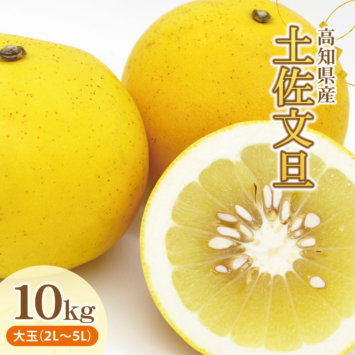 土佐文旦（ぶんたん）（大玉：2L～5L混合）約10kg 文旦 2026年 先行予約 20000円 10キロ 約14～21玉 ぶんたん ブンタン 柑橘 果物 フルーツ お取り寄せ おいしい 美味しい 故郷納税 ふるさとのうぜい 返礼品 高知県産 高知 【株式会社とさもん（土佐市）】