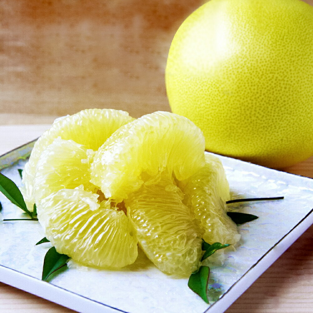 【ふるさと納税】文旦 家庭用　約10キロ（14～22玉） 期間限定 先行予約 土佐文旦 文旦 10kg ブンタン ぶんたん 果物 柑橘 フルーツ 高知県産 土佐市産 家庭用 傷 汚れ 美味しい おいしい ふるさとのうぜい 故郷納税 21000円 返礼品 高知 石元農園 サムネイル2