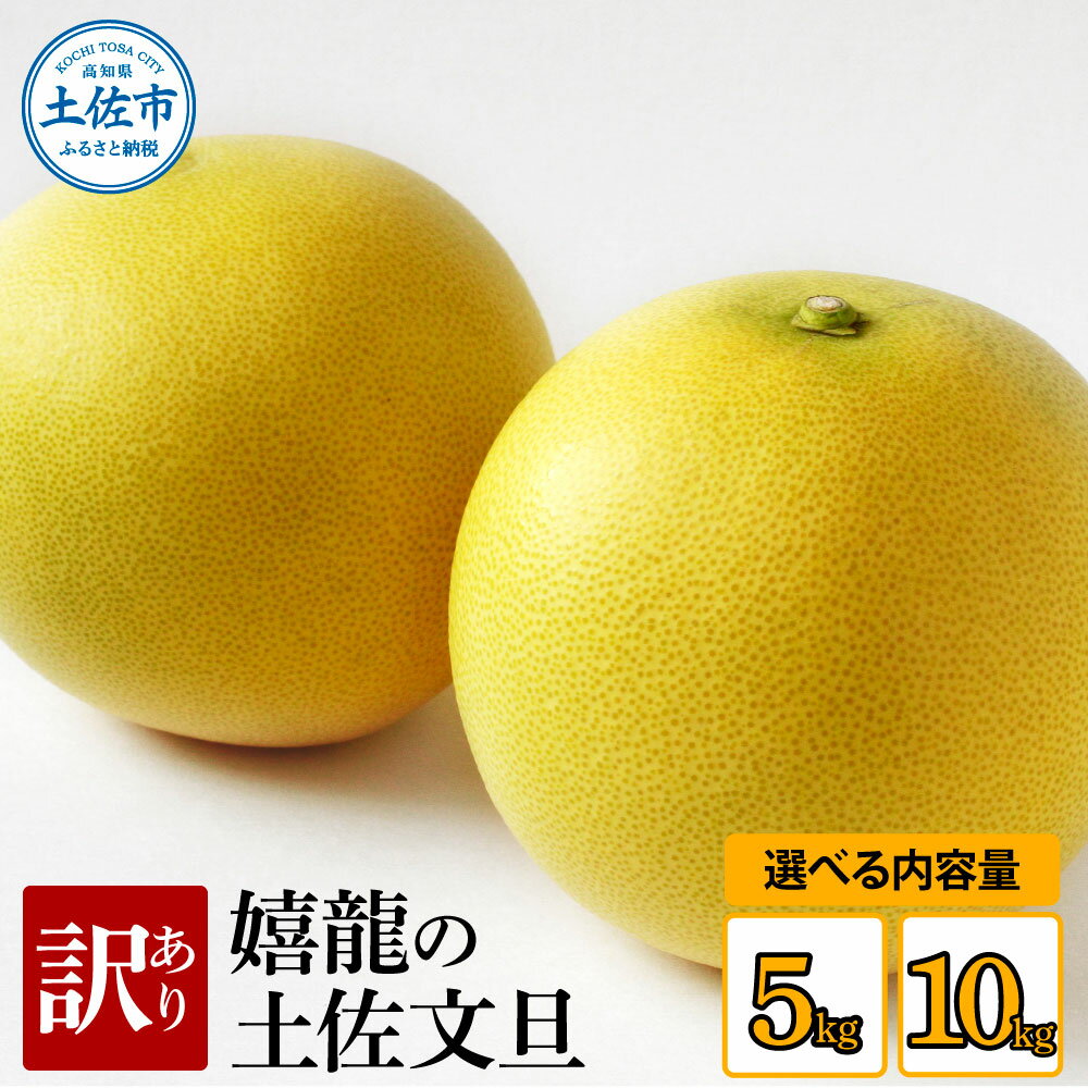 ＜2026年1月下旬より順次発送＞ 訳あり 嬉龍の土佐文旦 選べる内容量 約5キロ 10キロ L～4Lサイズ 文旦 ぶんたん ブンタン 柑橘 フルーツ 果物 訳あり 傷 シミ 美味しい 名産 産地直送 高知県産 土佐 高知 ふるさと納税 春 旬 故郷納税 10500円から 土佐市