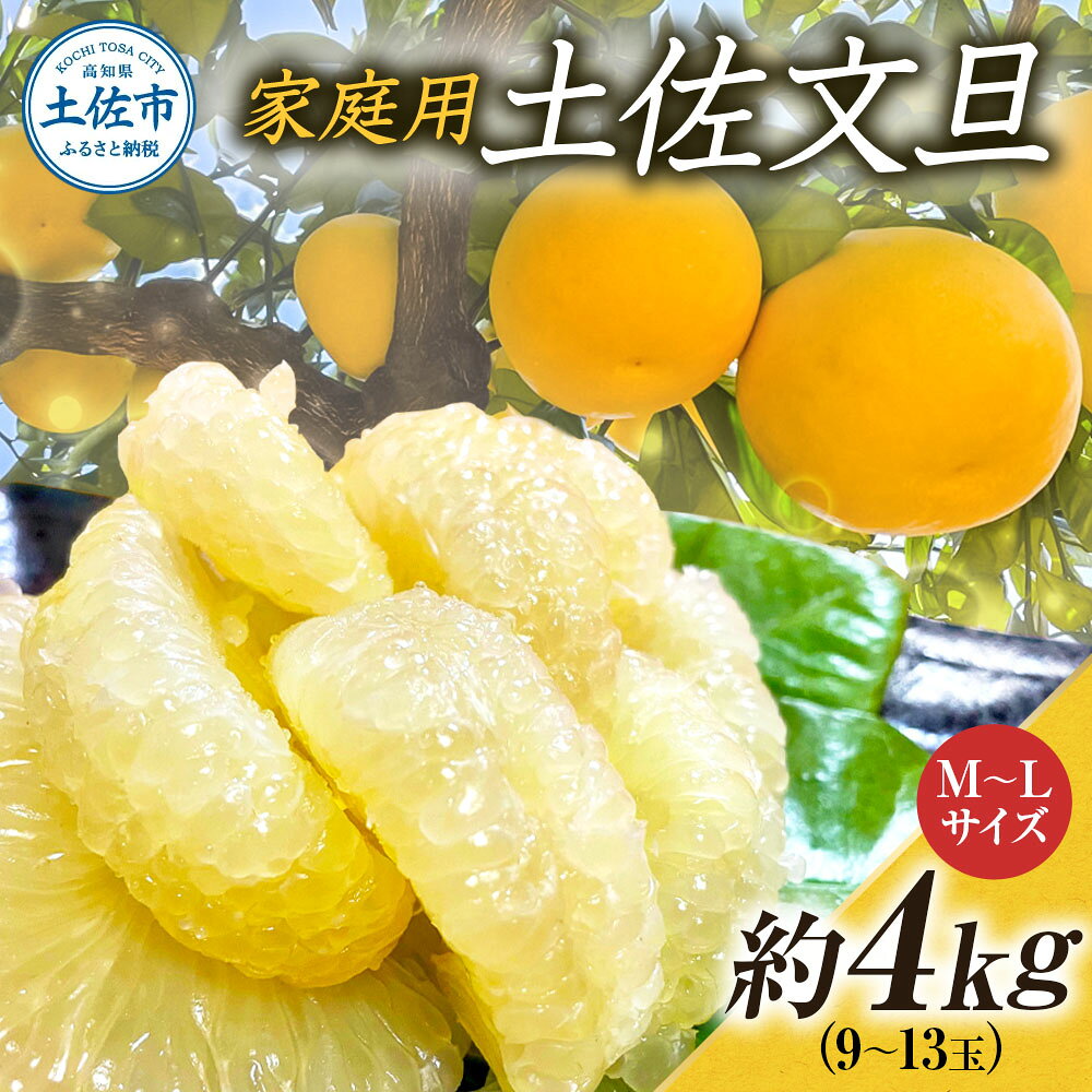 文旦 約4kg M~Lサイズ 9~13玉 ぶんたん ブンタン フルーツ 柑橘 みかん 果物 くだもの 柑橘類 デザート 家庭用 プレゼント ギフト お取り寄せ 国産 常温 配送 故郷納税 ふるさとのうぜい 返礼品 高知県 土佐市 7000円