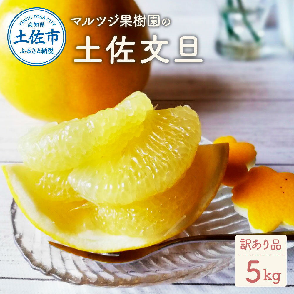 【先行予約】マルツジ果樹園の土佐文旦訳あり品（約5kg） 訳あり 文旦 土佐文旦 ぶんたん ブンタン 期間限定 数量限定 2L～4Lサイズ 8～11個 果物 柑橘 フルーツ 高知県産 土佐市産 家庭用 傷 美味しい おいしい ふるさと納税 春 旬 故郷納税 返礼品 高知