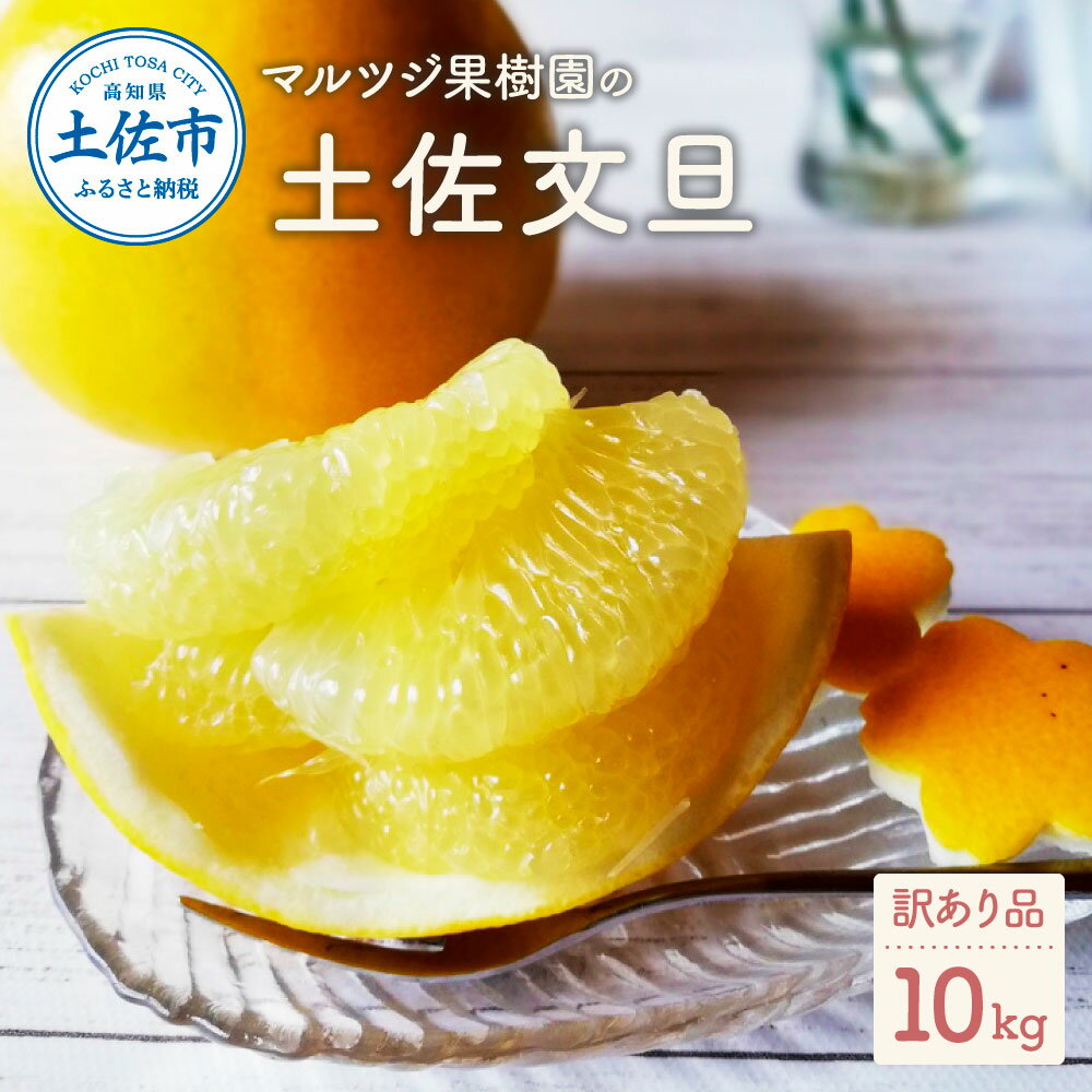 【先行予約】マルツジ果樹園の土佐文旦訳あり品（約10kg） 訳あり 文旦 土佐文旦 ぶんたん ブンタン 期間限定 数量限定 2L～4Lサイズ 16～22個 果物 柑橘 フルーツ 高知県産 土佐市産 家庭用 傷 美味しい おいしい 故郷納税 ふるさと納税 春 旬 高知