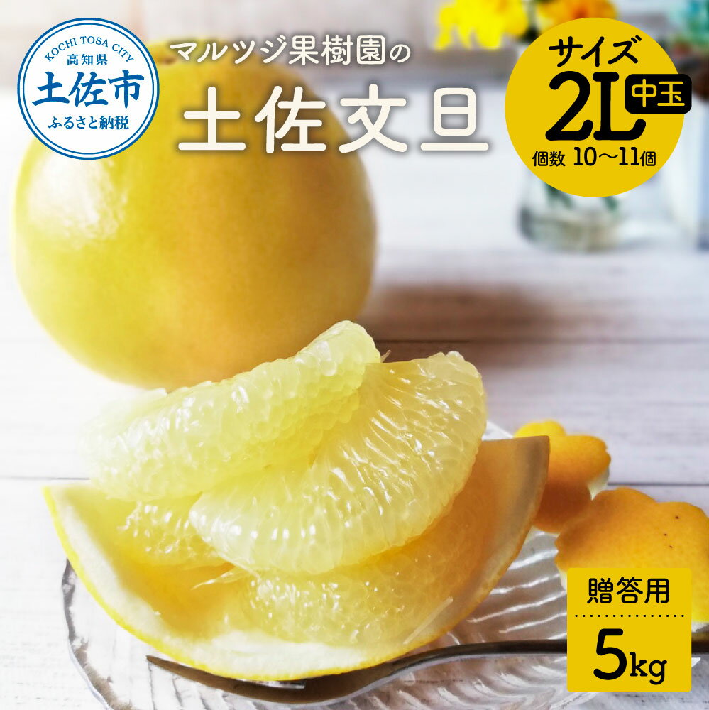 【先行予約】文旦 贈答用(中玉) 約5kg 5キロ 2Lサイズ 10~11個入り ぶんたん ブンタン フルーツ 柑橘 みかん 果物 くだもの 柑橘類 デザート お取り寄せ 国産 常温 配送 故郷納税 ふるさとのうぜい 返礼品 高知県 土佐市 マルツジ果樹園の土佐文旦 15000円