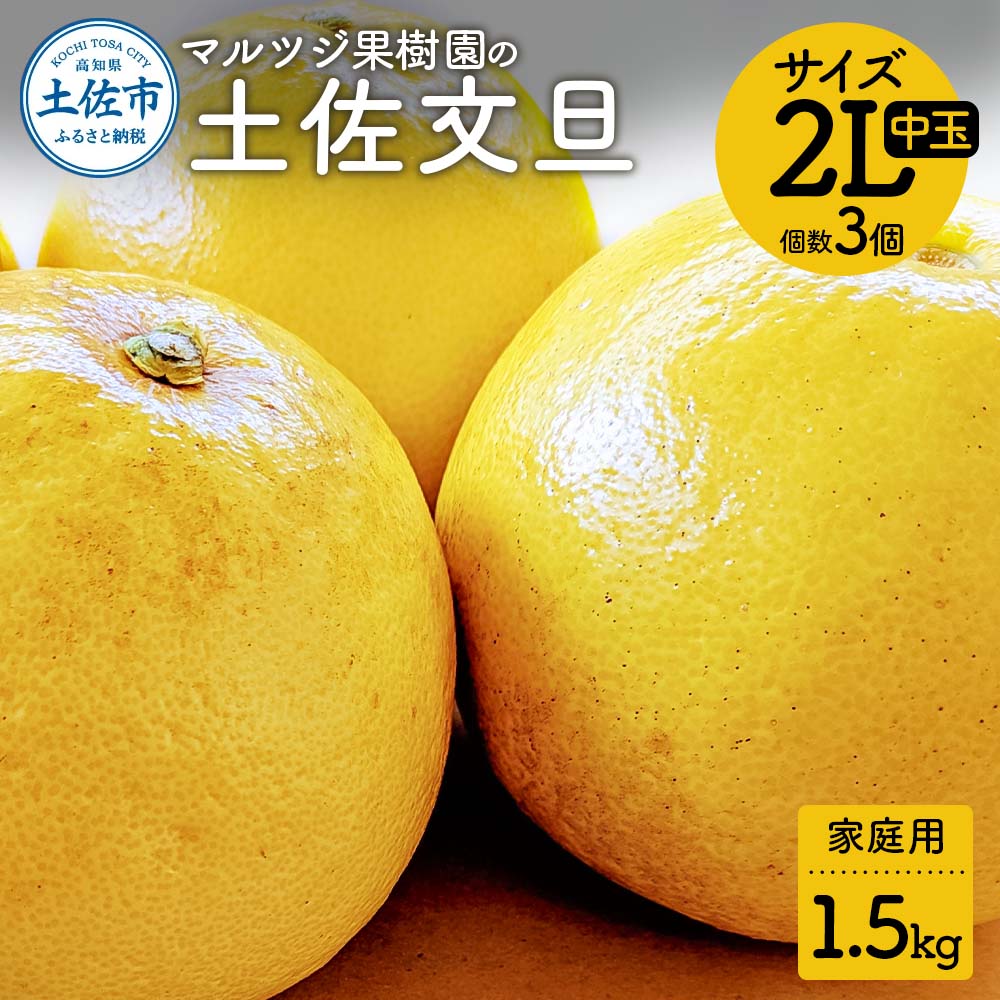 【先行予約】文旦 家庭用(中玉) 約1.5kg 1.5キロ 2Lサイズ 3個入り ぶんたん ブンタン フルーツ 柑橘 みかん 果物 くだもの 柑橘類 デザート ご自宅用 ご家庭用 お取り寄せ 国産 常温 配送 ふるさとのうぜい 返礼品 高知県 土佐市 マルツジ果樹園の土佐文旦