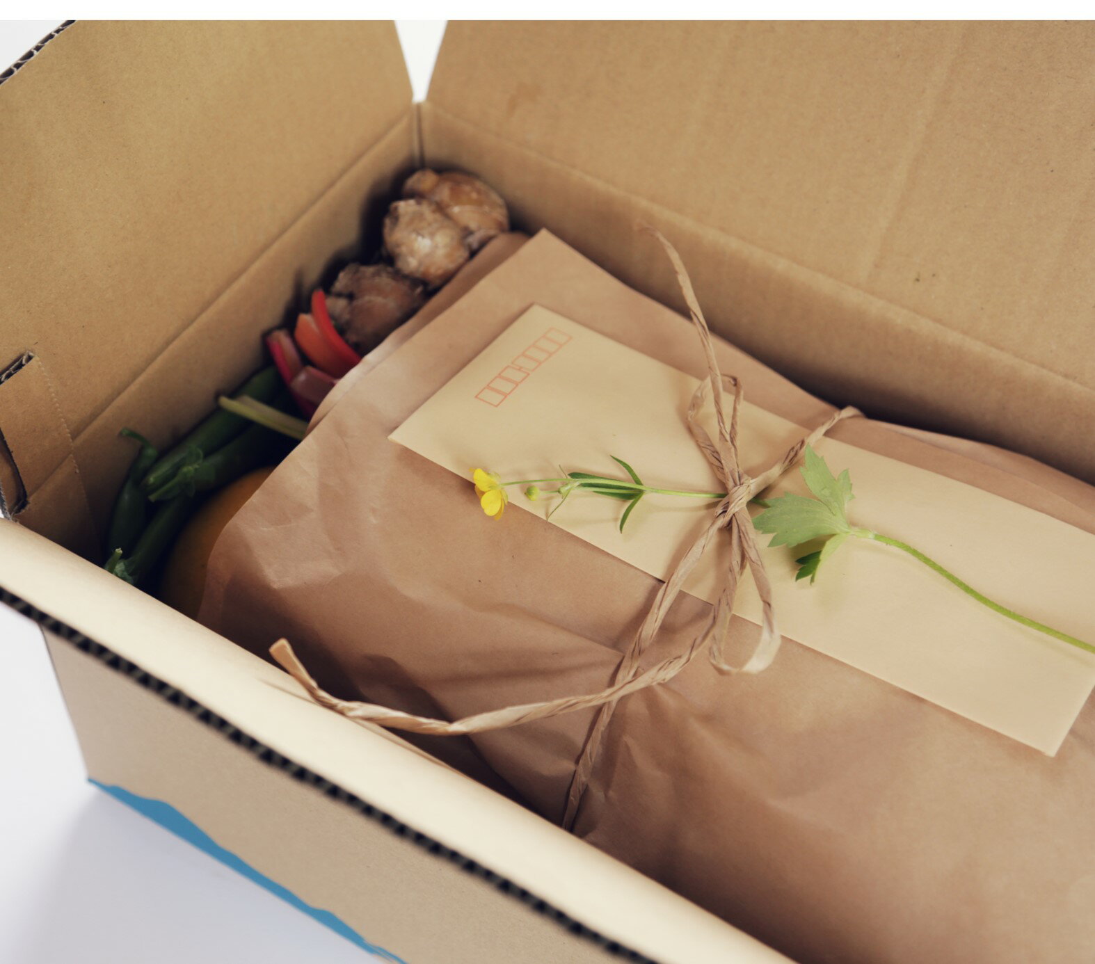 【ふるさと納税】『定期便』土佐野菜の詰め合わせ 全12回 の野菜 生姜 野菜 健康 詰め合わせ 採れたて おいしい 美味しい 自然 新鮮 春 野菜 おまかせ お楽しみ 高知 高知県 土佐市 こうち 返礼品 - 画像2