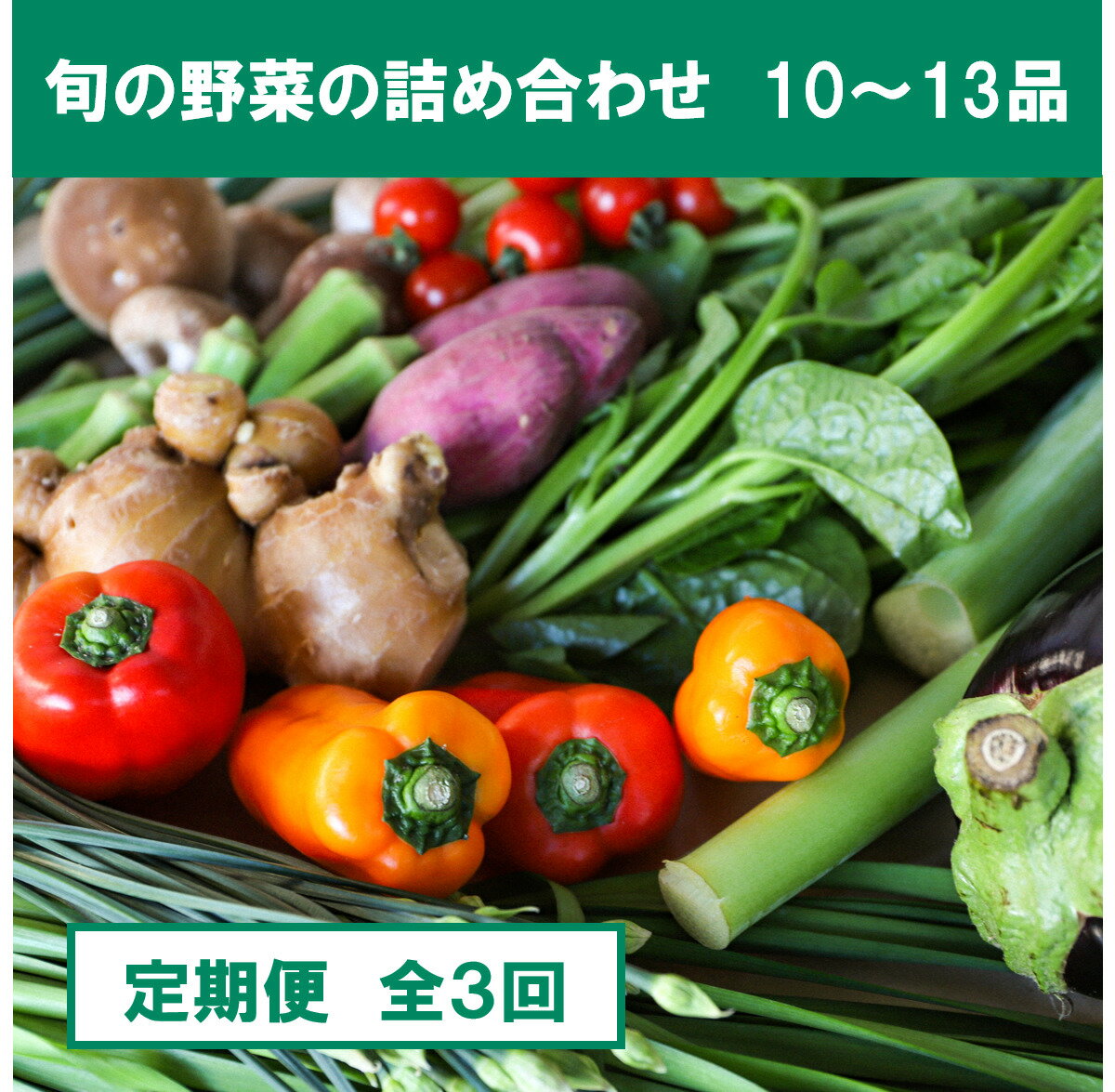 『定期便』土佐野菜の詰め合わせ 全3回 の野菜 定期 生姜 野菜 健康 詰め合わせ 採れたて おいしい 美味しい 自然 新鮮 春 野菜 おまかせ お楽しみ 高知 高知県 土佐市 こうち 返礼品