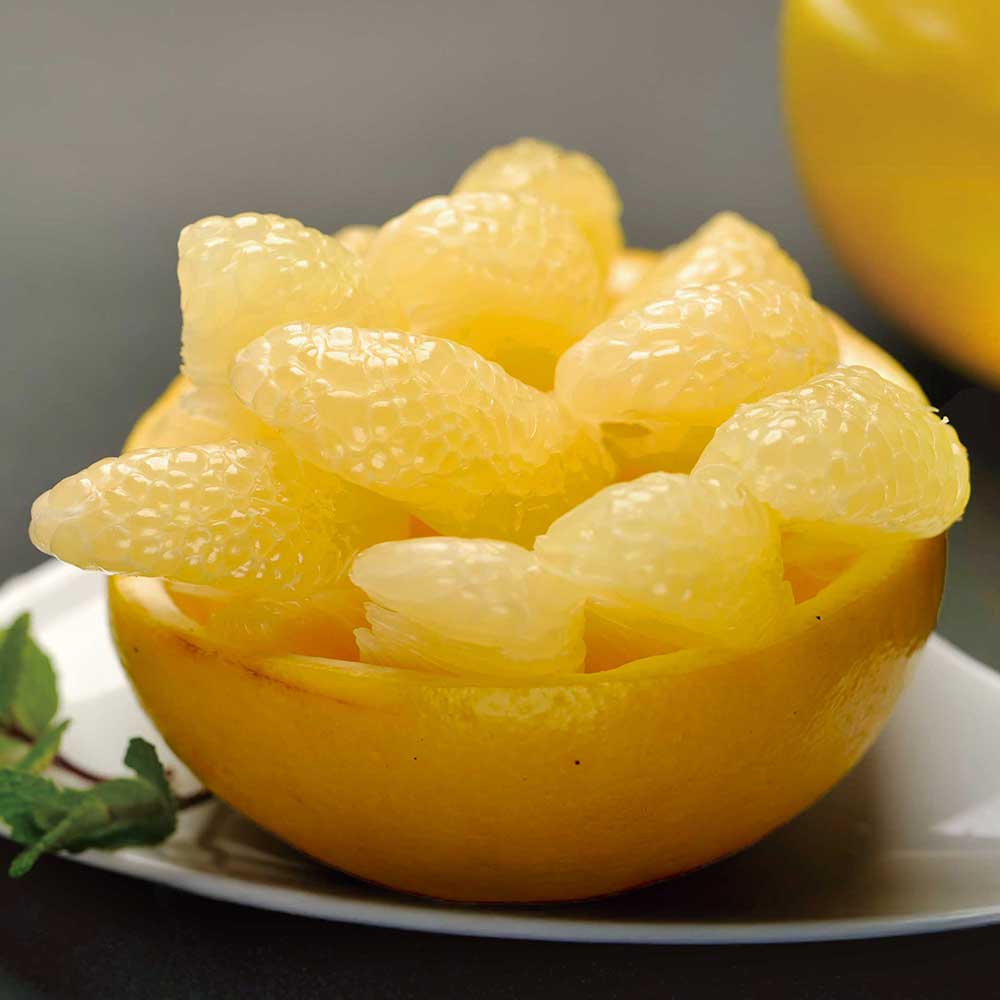 【ふるさと納税】先行予約　文旦 選べる内容量 約5kg 約10kg 5キロ 10キロ L～4Lサイズ 土佐文旦 みかん 柑橘 ぶんたん ブンタン 果物 フルーツ デザート おやつ 三愛果樹園の土佐文旦 おいしい 美味しい 規格外品 お取り寄せ 常温 配送 故郷納税 ふるさとのうぜい 返礼品 サムネイル2