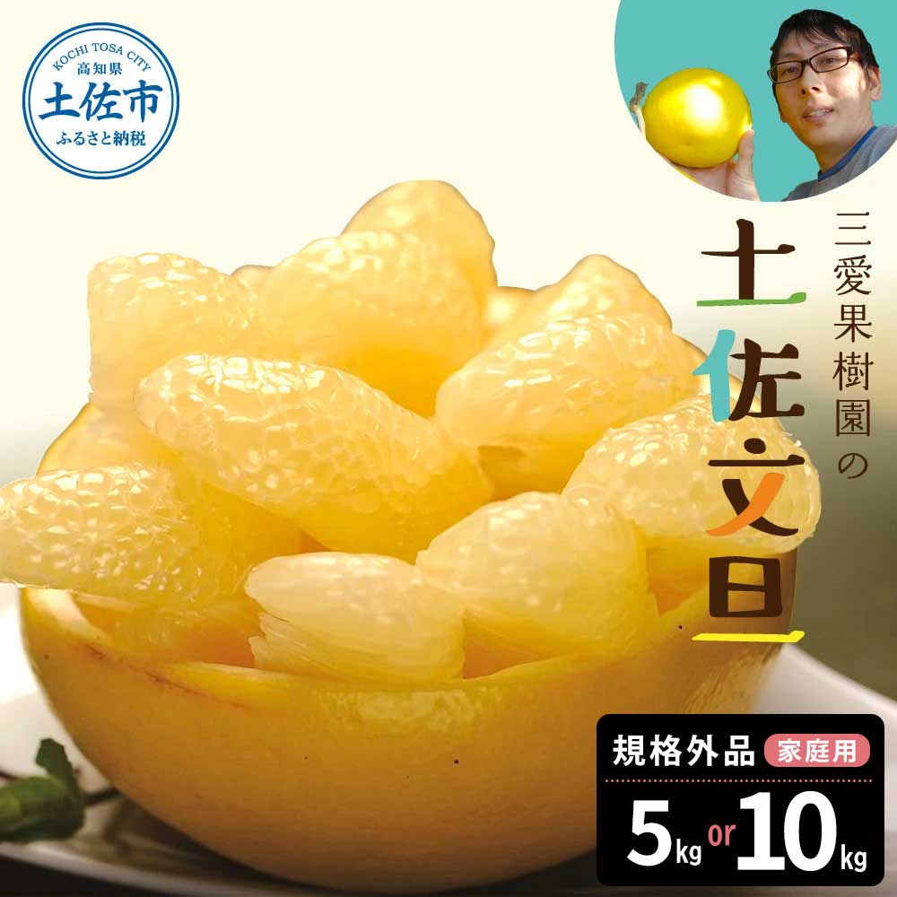 先行予約　文旦 選べる内容量 約5kg 約10kg 5キロ 10キロ L～4Lサイズ 土佐文旦 みかん 柑橘 ぶんたん ブンタン 果物 フルーツ デザート おやつ 三愛果樹園の土佐文旦 おいしい 美味しい 規格外品 お取り寄せ 常温 配送 故郷納税 ふるさとのうぜい 返礼品