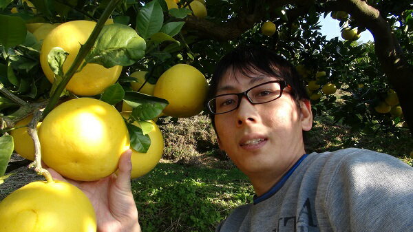 【ふるさと納税】 【先行予約】 三愛果樹園の土佐文旦 （小玉）家庭用約5kg 2月～3月発送 みかん 柑橘 ぶんたん ブンタン 果物 フルーツ お取り寄せ おいしい 美味しい 故郷納税 ふるさとのうぜい 返礼品 高知県 高知 9000円 サムネイル3