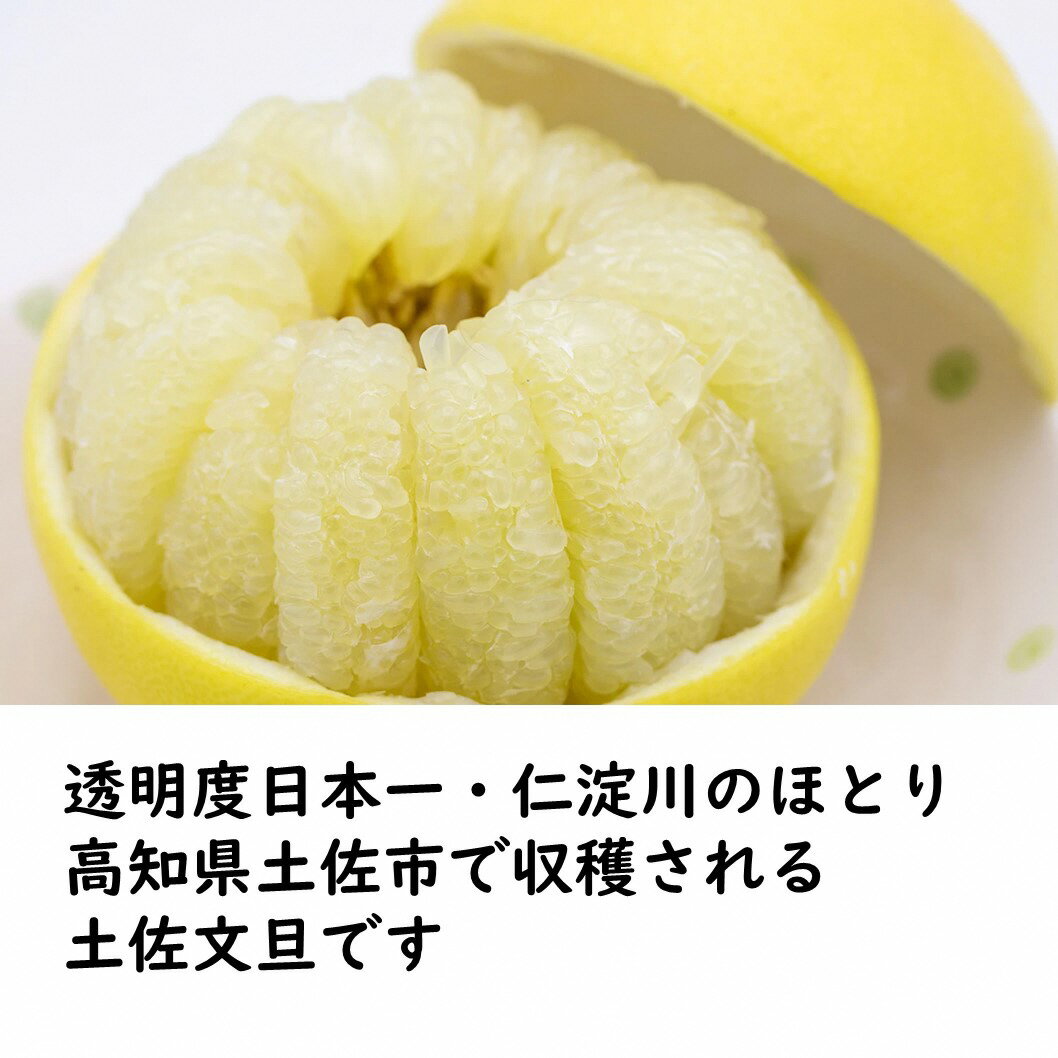 【ふるさと納税】【先行予約】【2026年1月下旬より発送】 土佐文旦 7000円 9000円 16000円【サイズ混合2L～4L】選べる 3.0kg/4.5kg/9.5kg 生産者直送 家庭用 文旦 常温 柑橘 みかん フルーツ 果物 産地直送 お取り寄せ 人気 美味しい ふるさと納税 送料無料 t土佐市 返礼品 サムネイル2